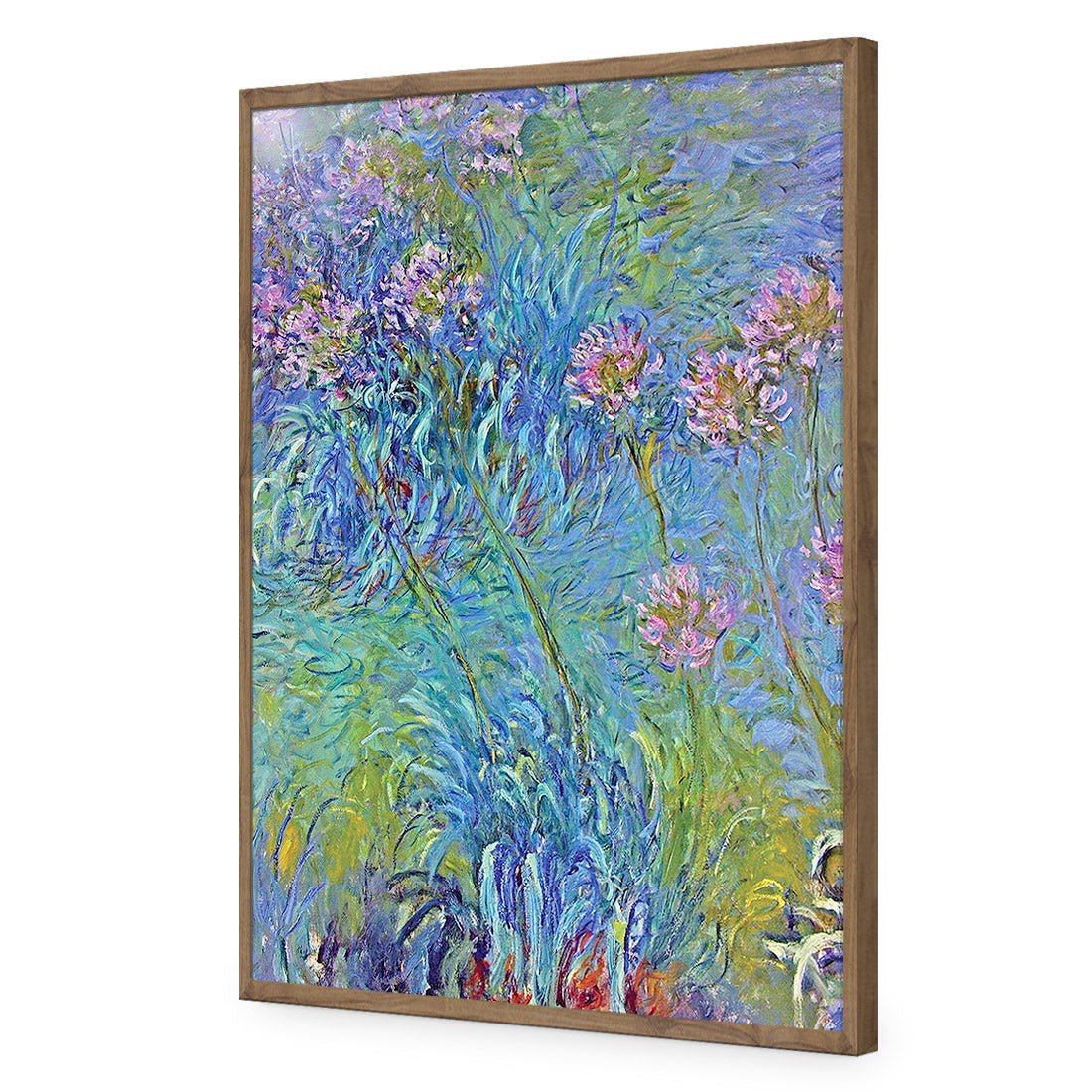 Agapanthus by Monet Acrylic Print Art