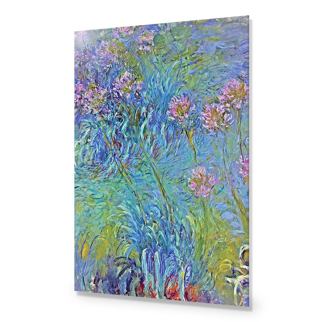 Agapanthus by Monet Acrylic Print Art
