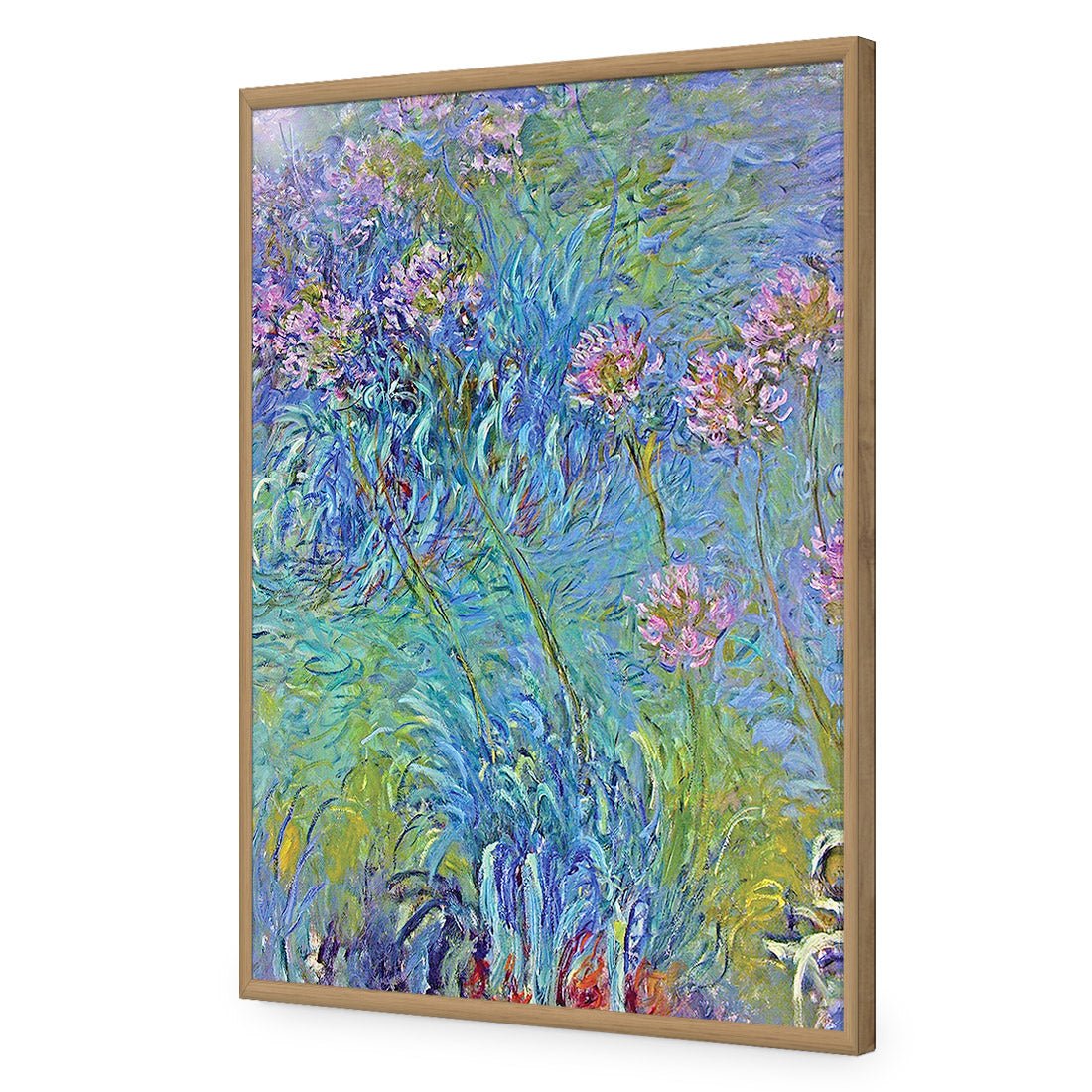 Agapanthus by Monet Acrylic Print Art