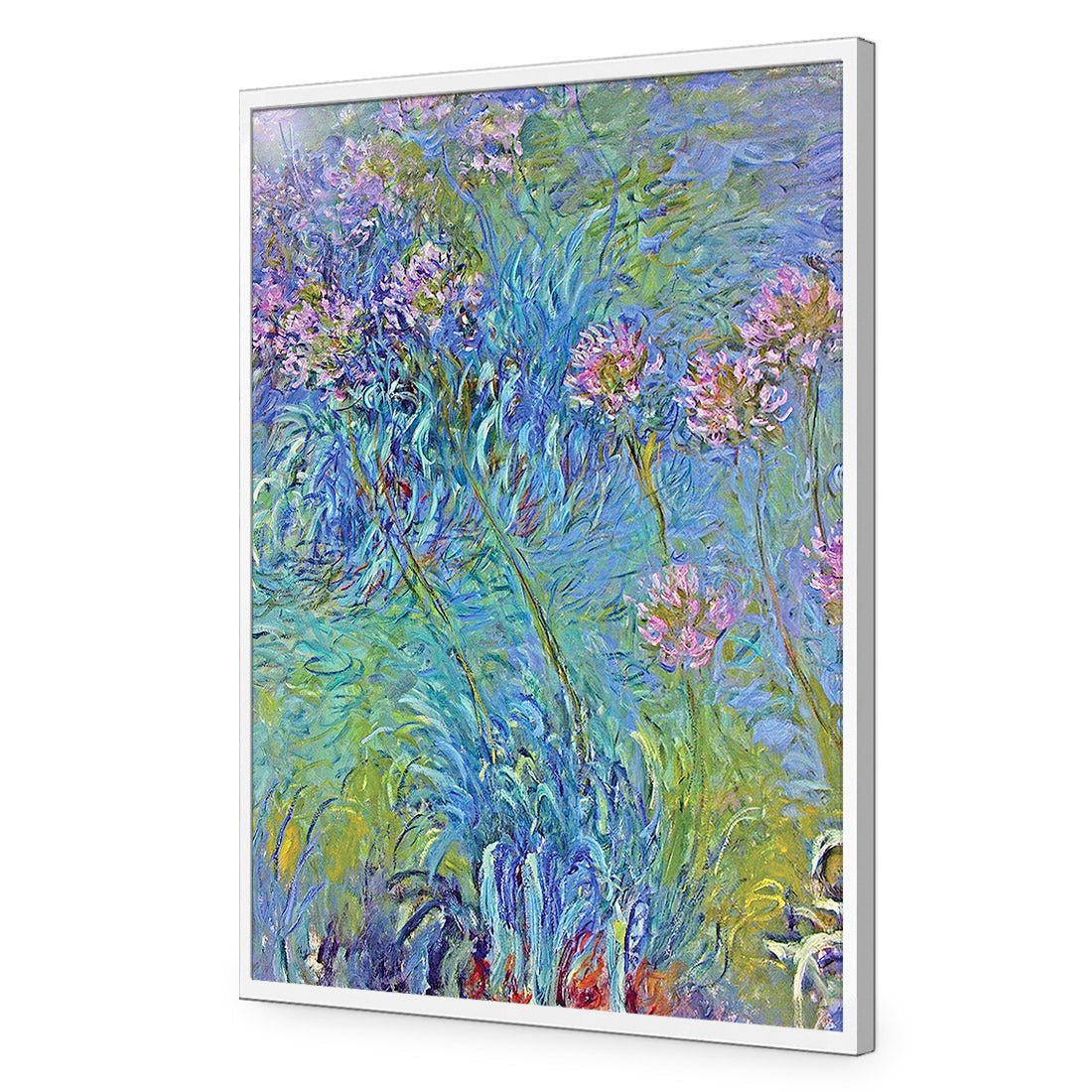 Agapanthus by Monet Acrylic Print Art