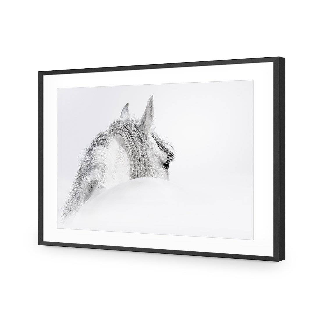 Andalusian Horse In The Mist Acrylic Print Art