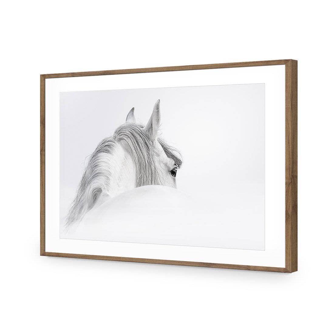 Andalusian Horse In The Mist Acrylic Print Art