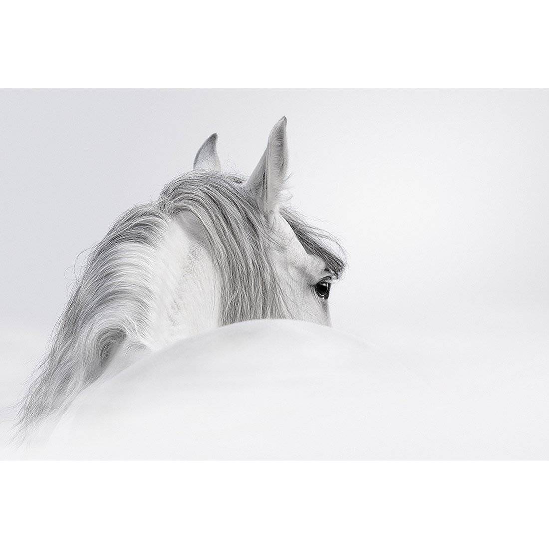 Andalusian Horse In The Mist Acrylic Print Art