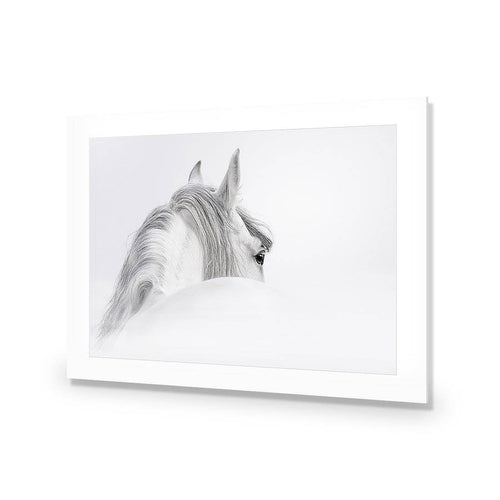 Andalusian Horse In The Mist Acrylic Print Art