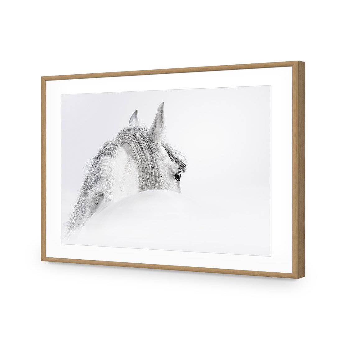 Andalusian Horse In The Mist Acrylic Print Art