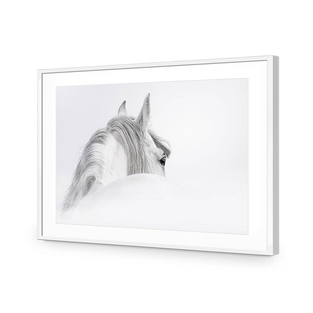 Andalusian Horse In The Mist Acrylic Print Art