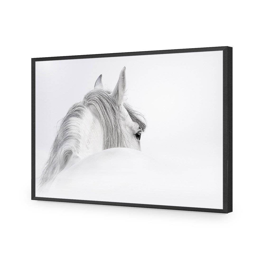 Andalusian Horse In The Mist Acrylic Print Art