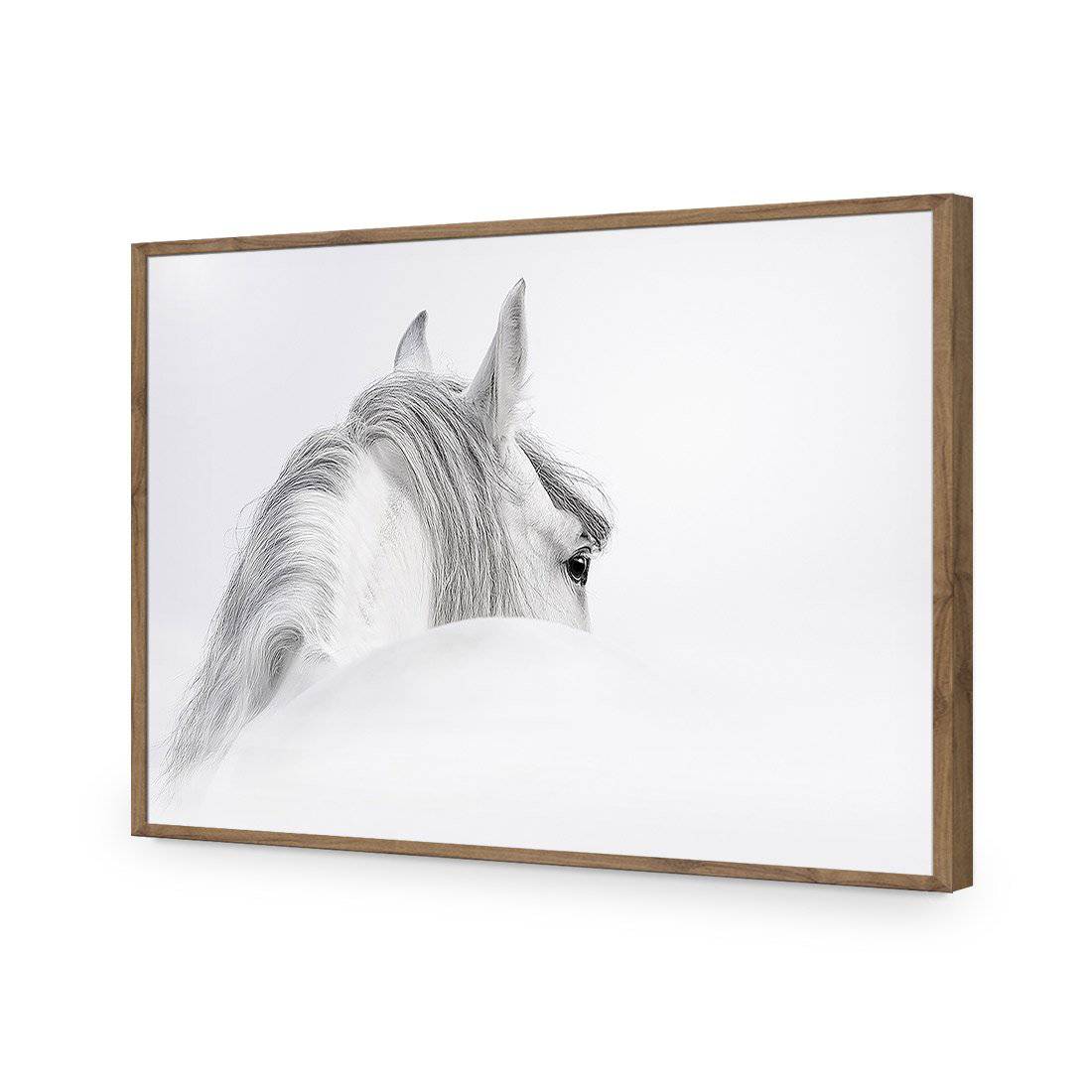 Andalusian Horse In The Mist Acrylic Print Art
