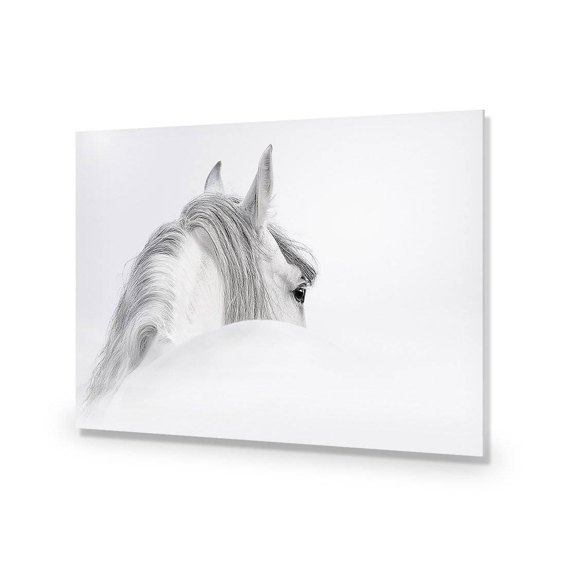 Andalusian Horse In The Mist Acrylic Print Art