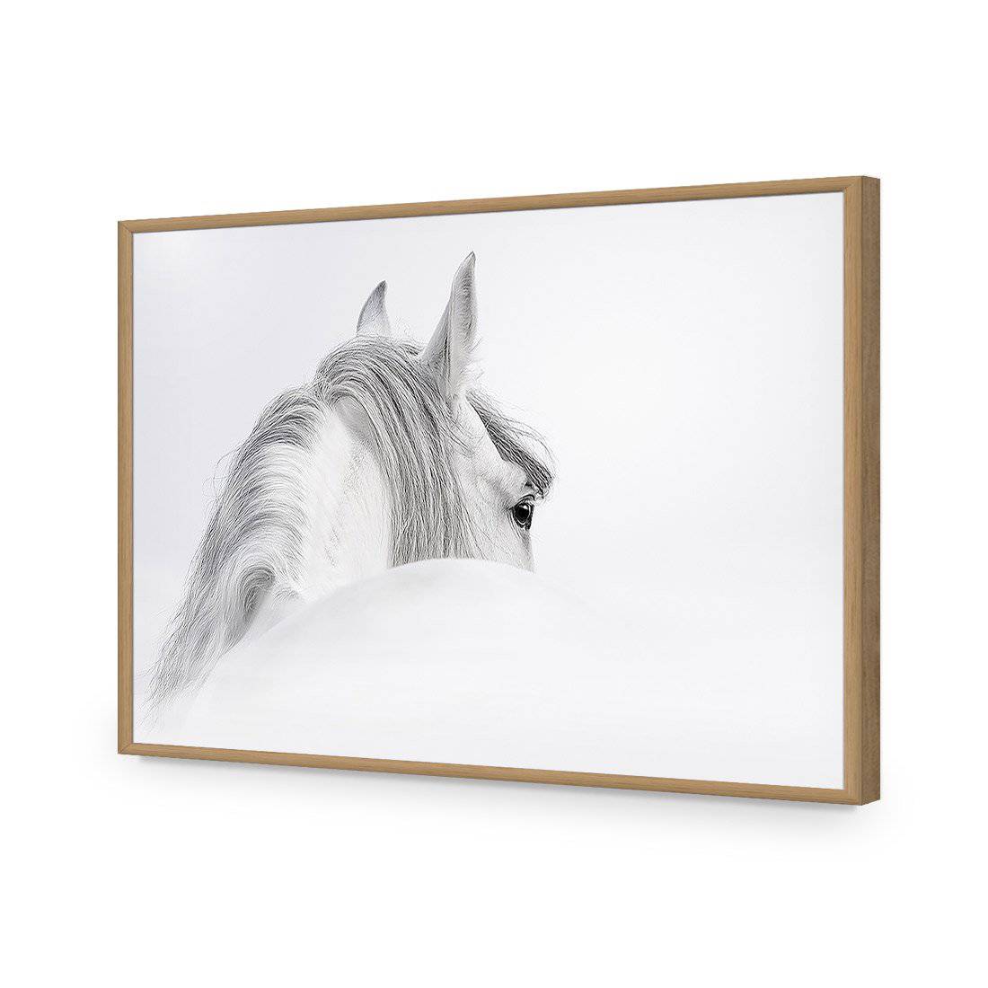 Andalusian Horse In The Mist Acrylic Print Art