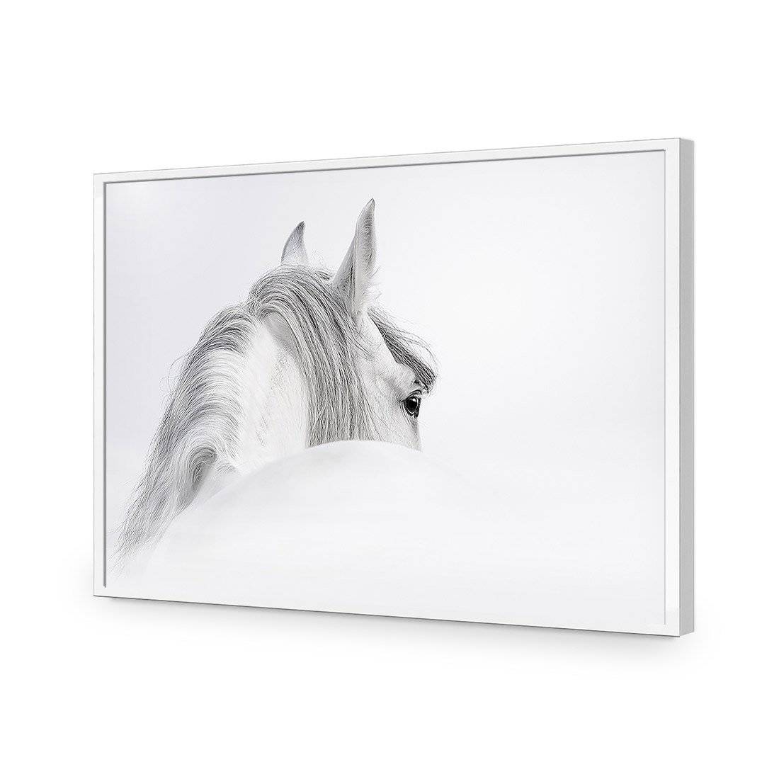 Andalusian Horse In The Mist Acrylic Print Art