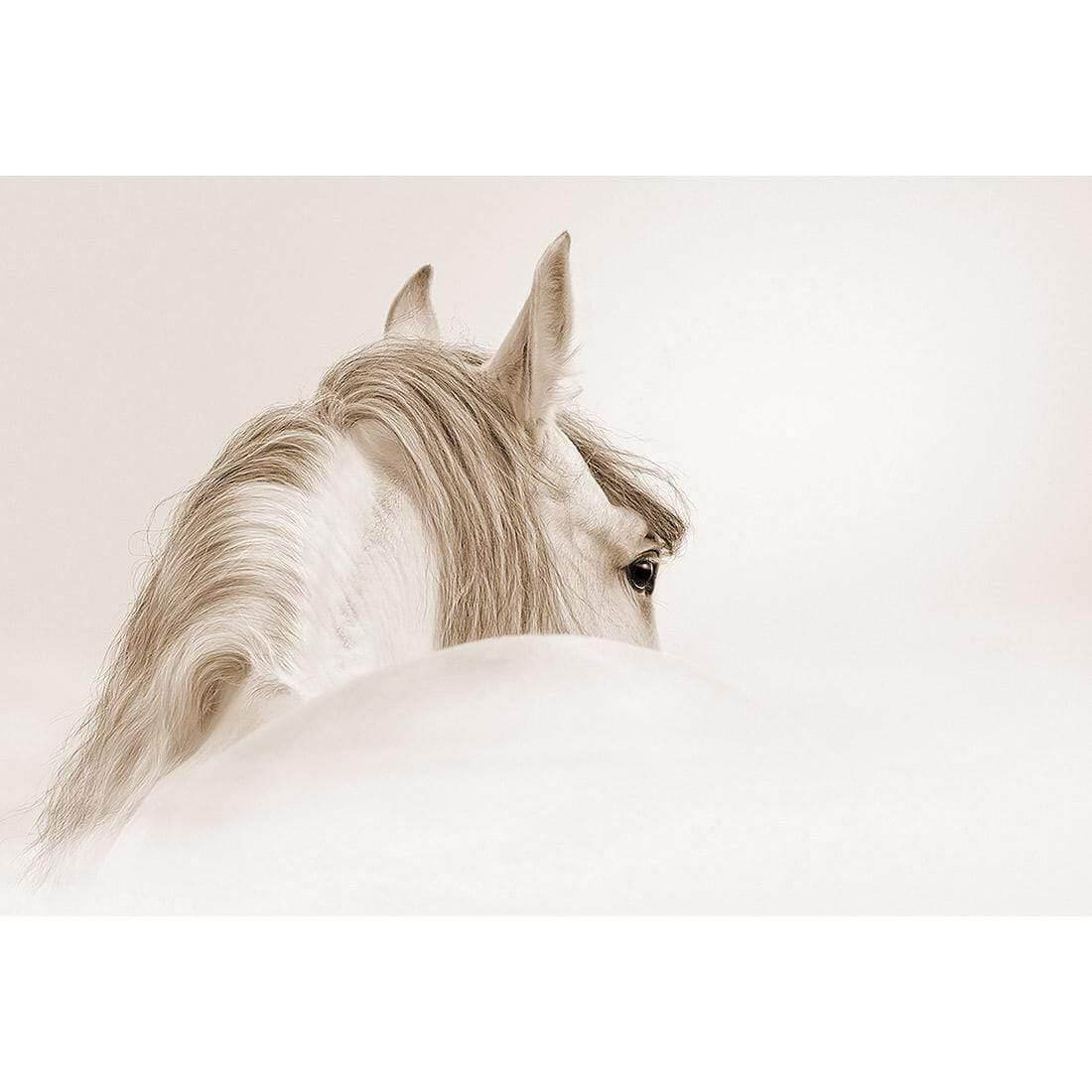 Andalusian Horse in the Mist, Sepia