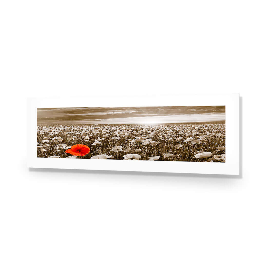 Anzac Poppy Field, Sepia (long)
