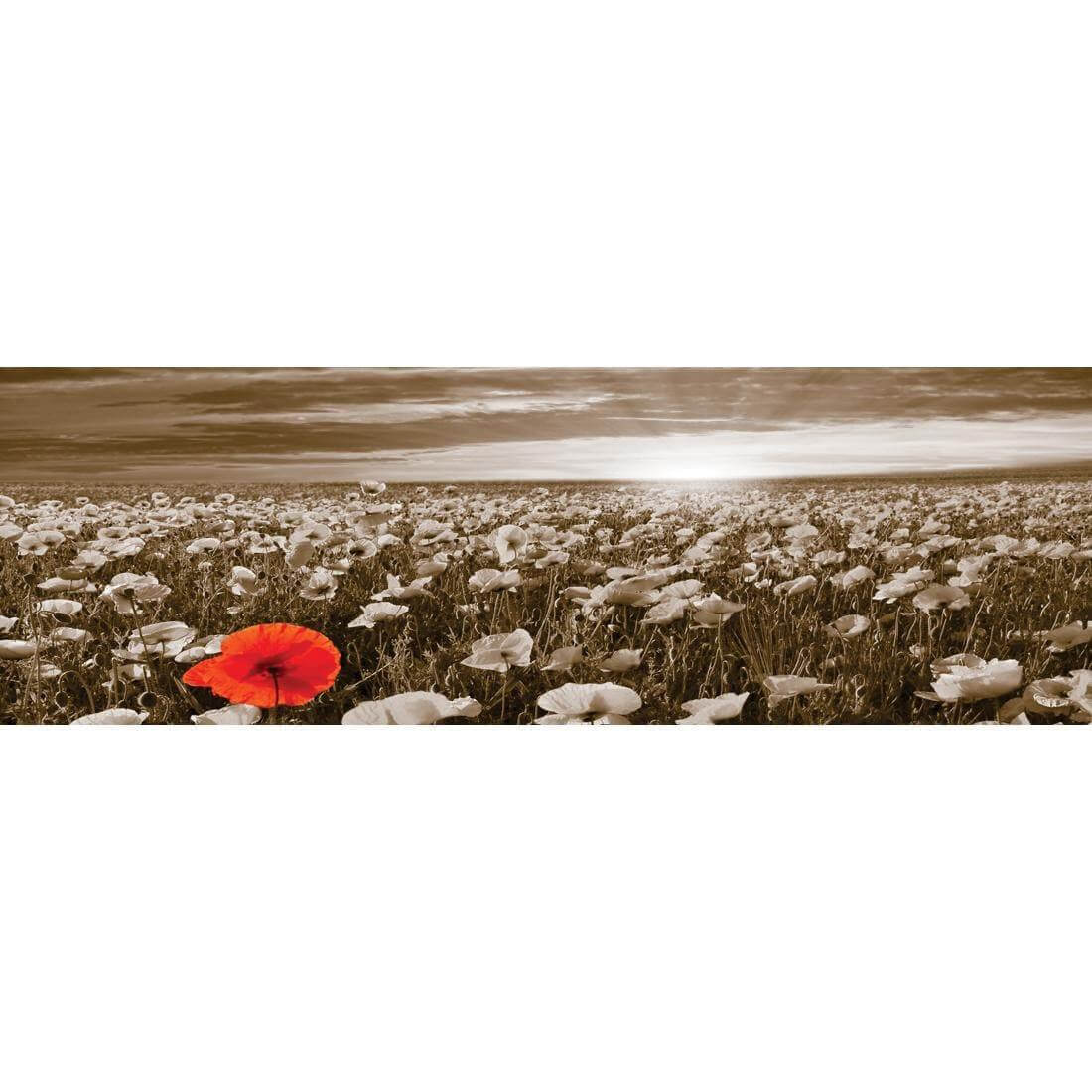 Anzac Poppy Field, Sepia (long)