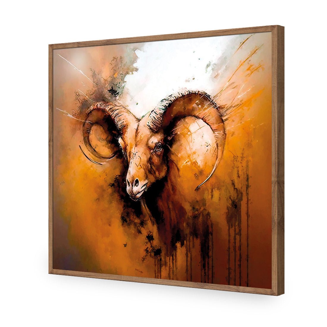 Aries Ascendant