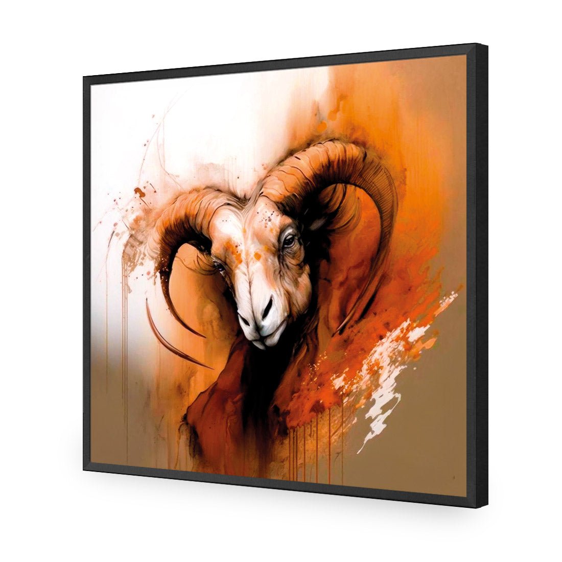 Aries Rising