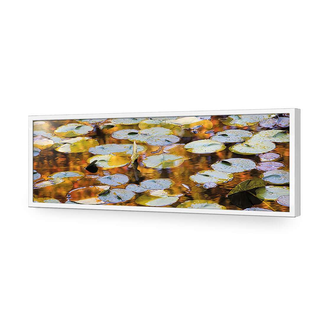 Autumn Lilypads (Long)