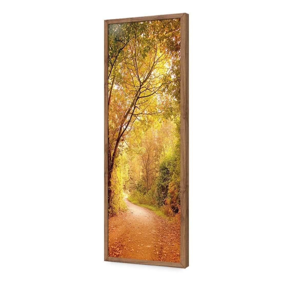 Autumn Pathway (Long)