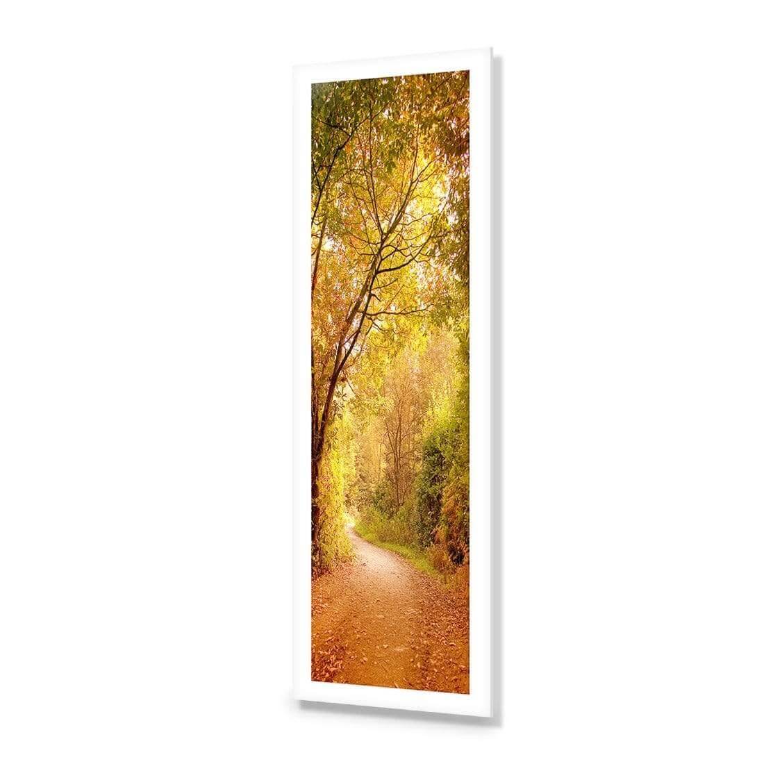 Autumn Pathway (Long)
