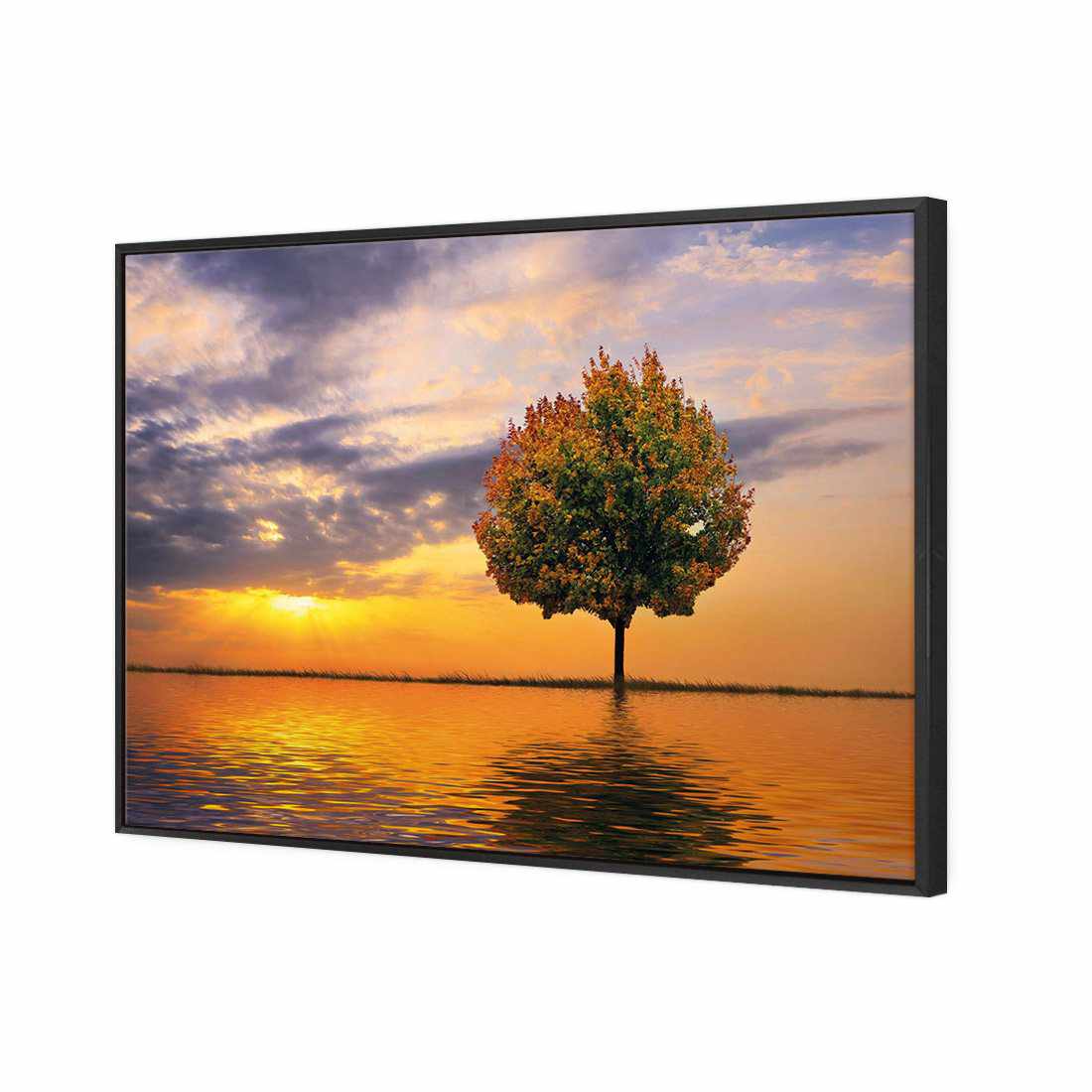 Autumn Reflection Canvas Art