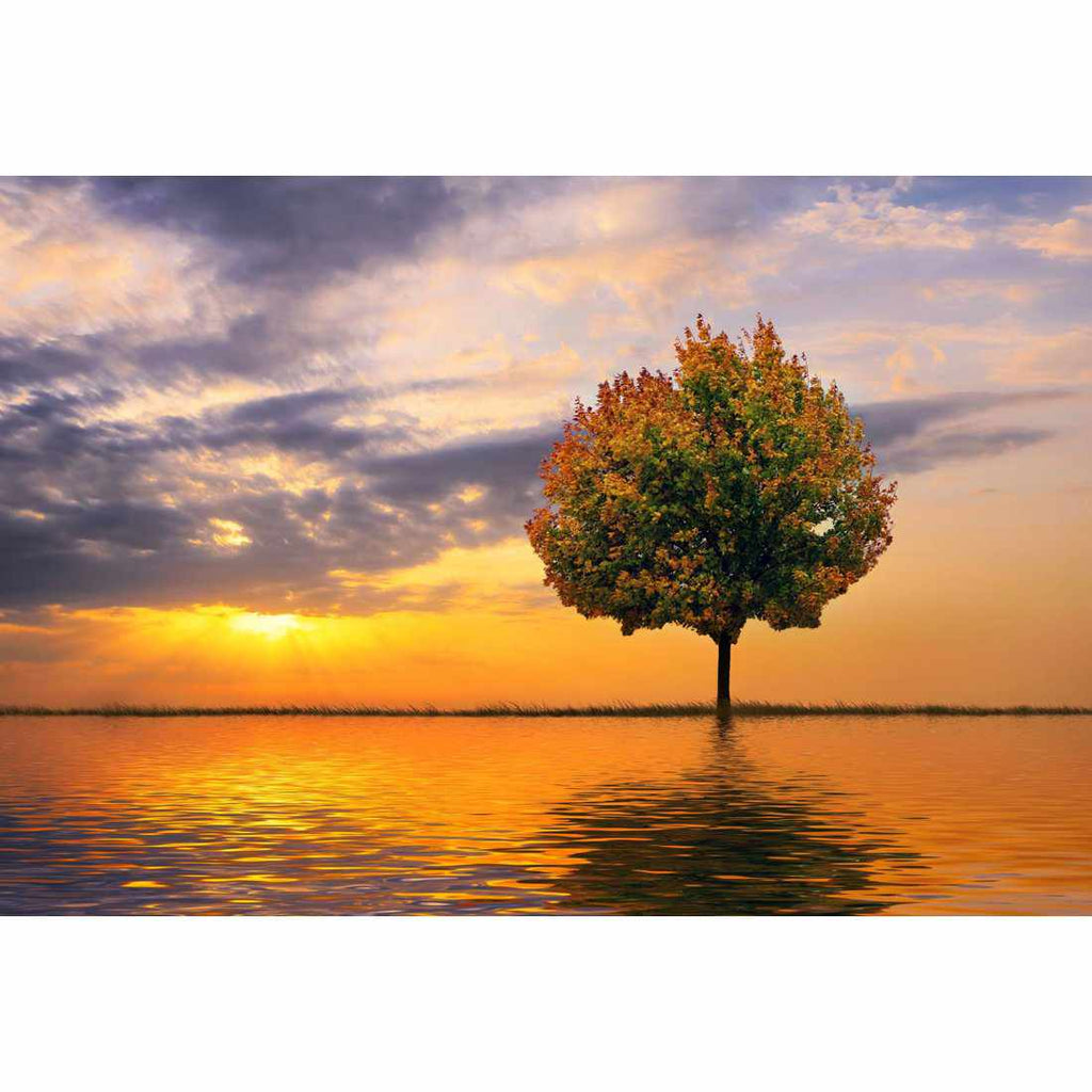 Autumn Reflection Canvas Art