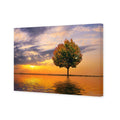 Autumn Reflection Canvas Art