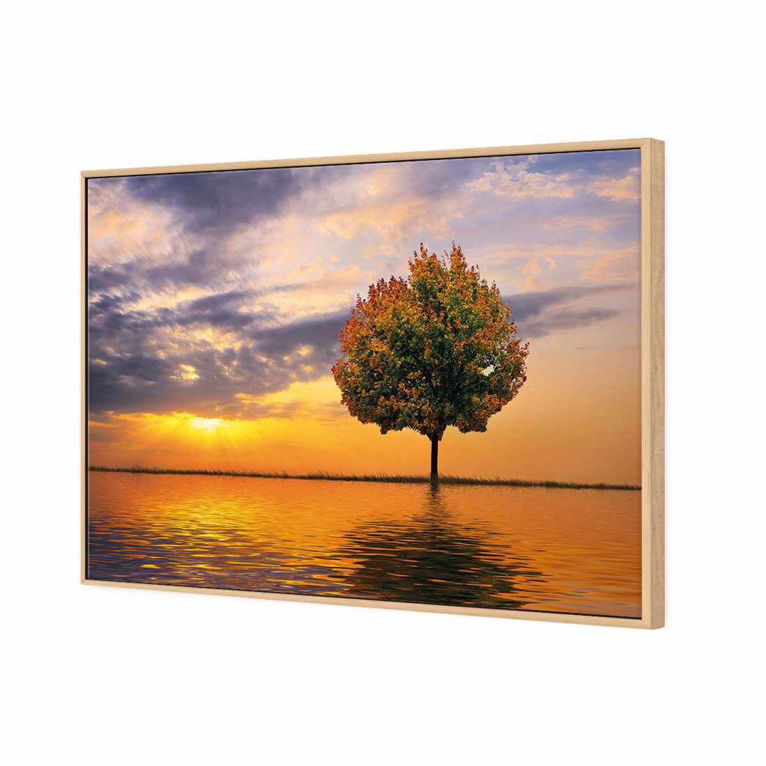 Autumn Reflection Canvas Art