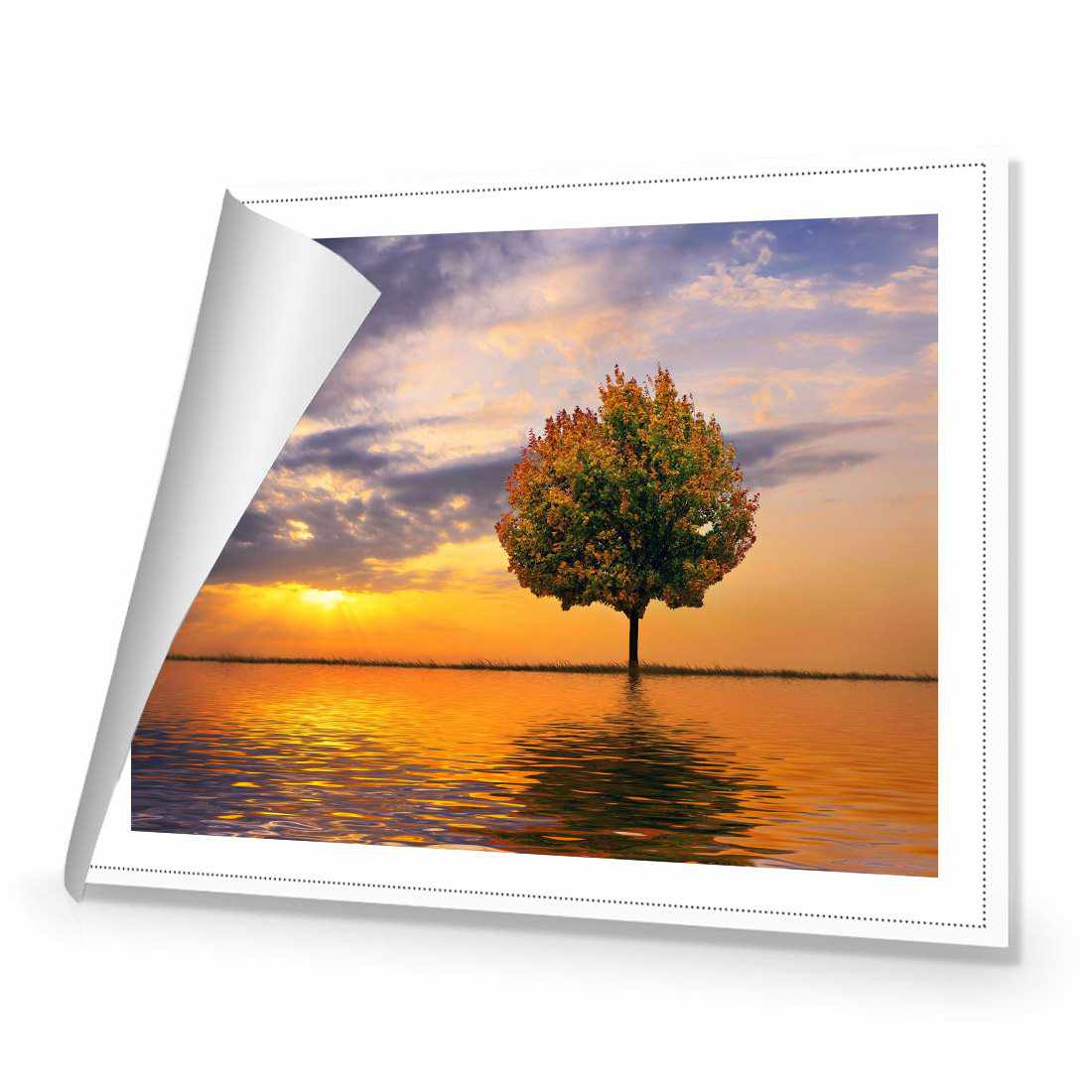 Autumn Reflection Canvas Art