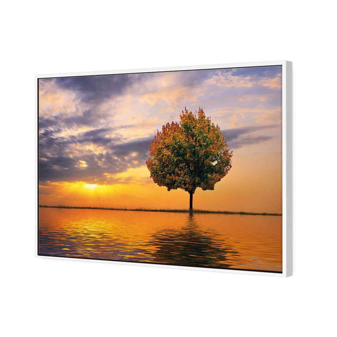 Autumn Reflection Canvas Art