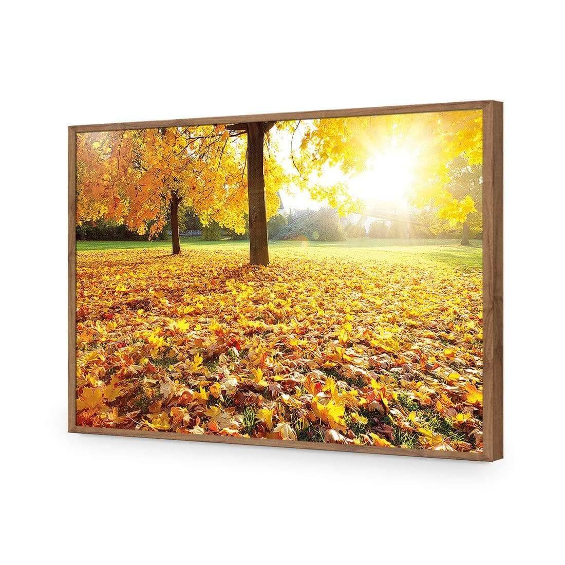 Autumn Sunshine