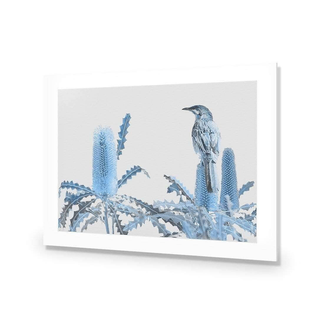 Banksia Beauty and Wattlebird