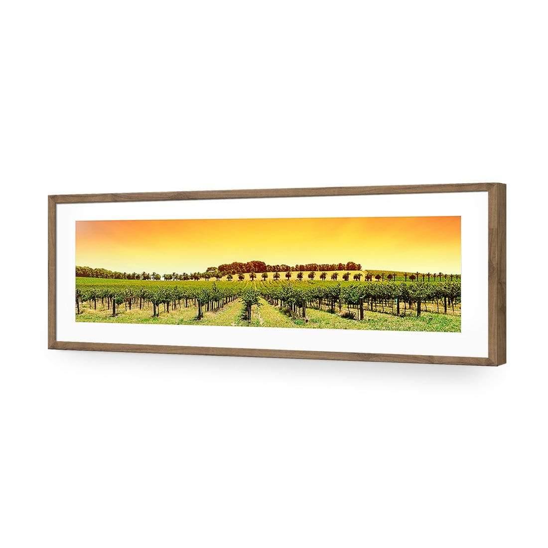 Barossa Vineyards (Long)