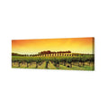 Barossa Vineyards (Long)