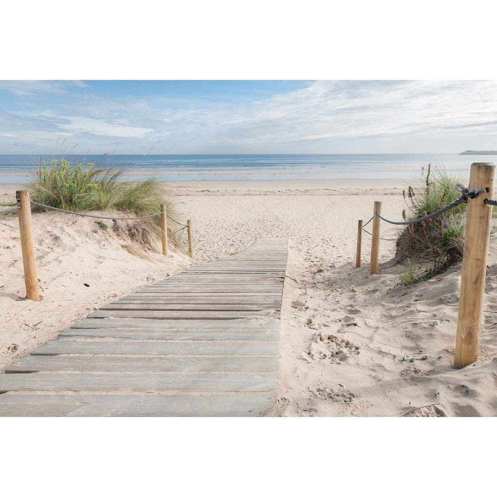 Beach Path Acrylic Print Art