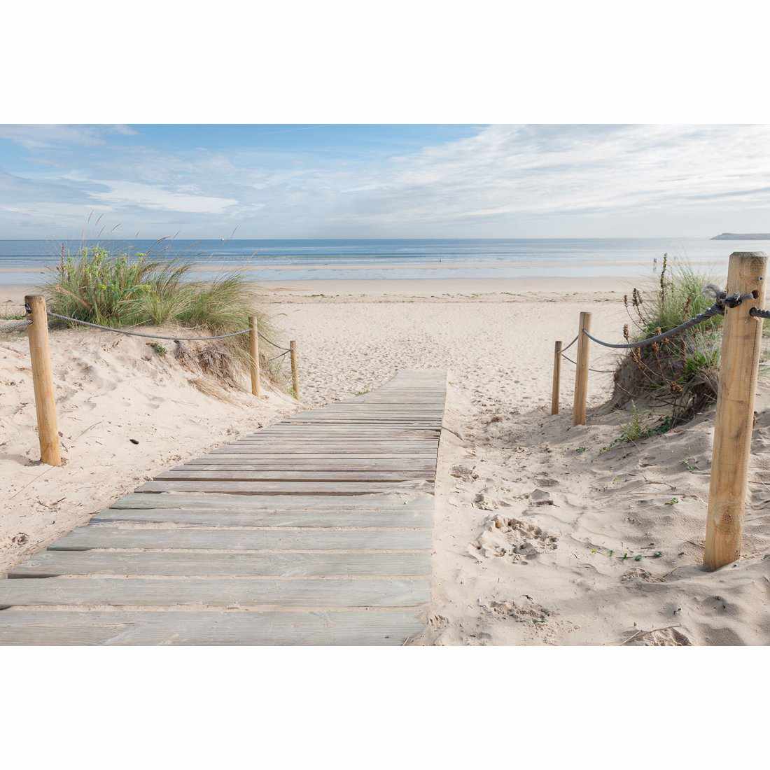 Beach Path Acrylic Print Art