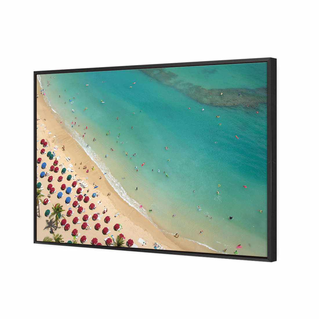 Birds Eye Beach Canvas Art