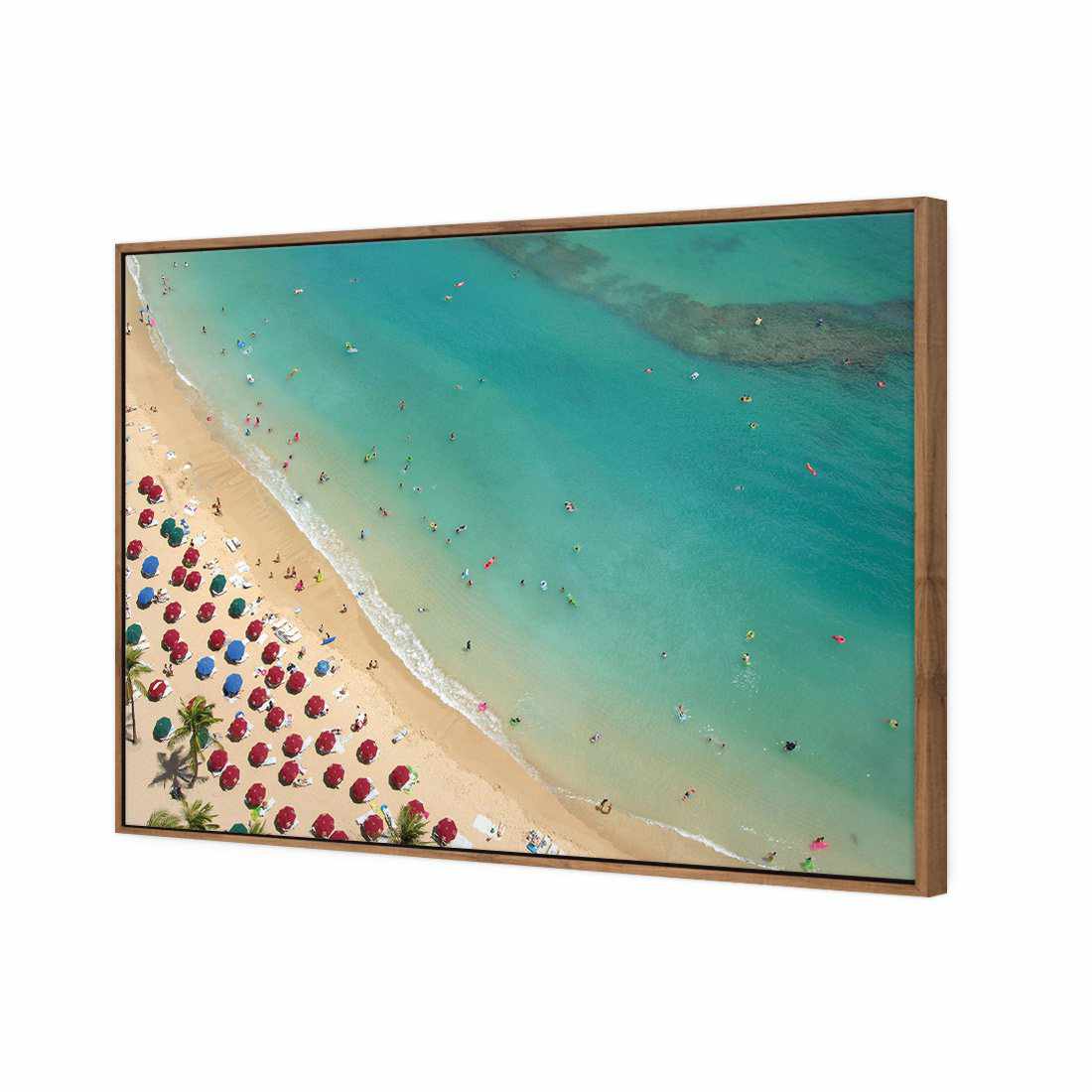 Birds Eye Beach Canvas Art