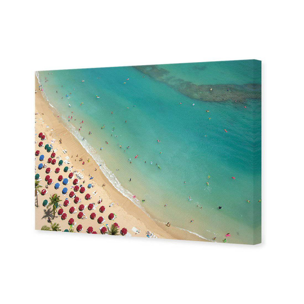 Birds Eye Beach Canvas Art