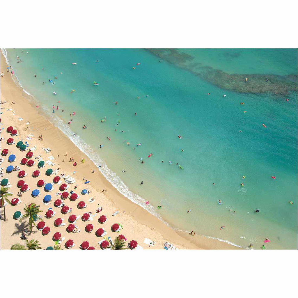 Birds Eye Beach Canvas Art