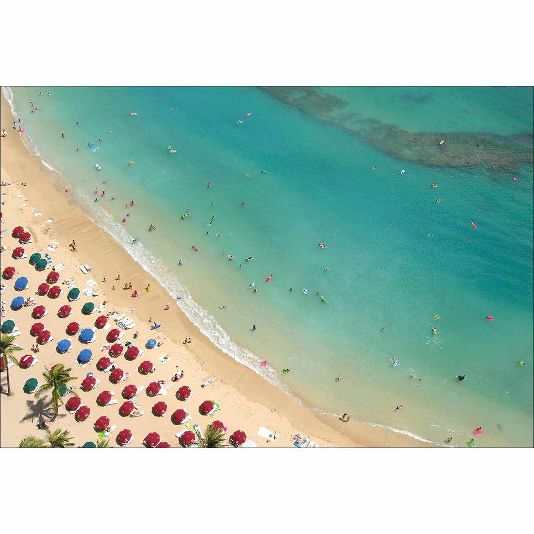 Birds Eye Beach Canvas Art