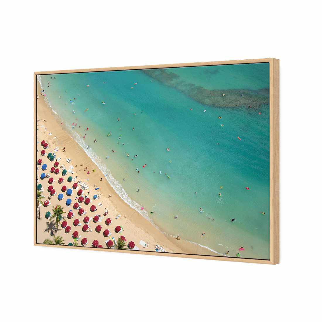 Birds Eye Beach Canvas Art