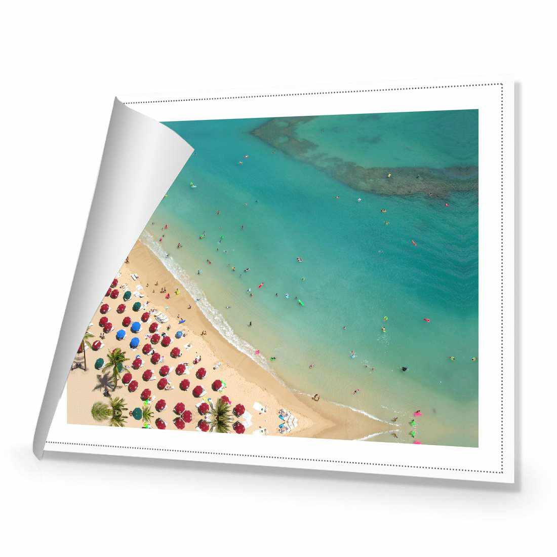Birds Eye Beach Canvas Art
