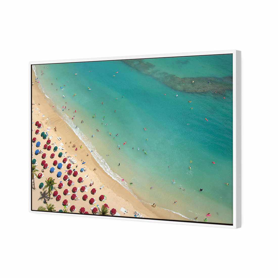 Birds Eye Beach Canvas Art
