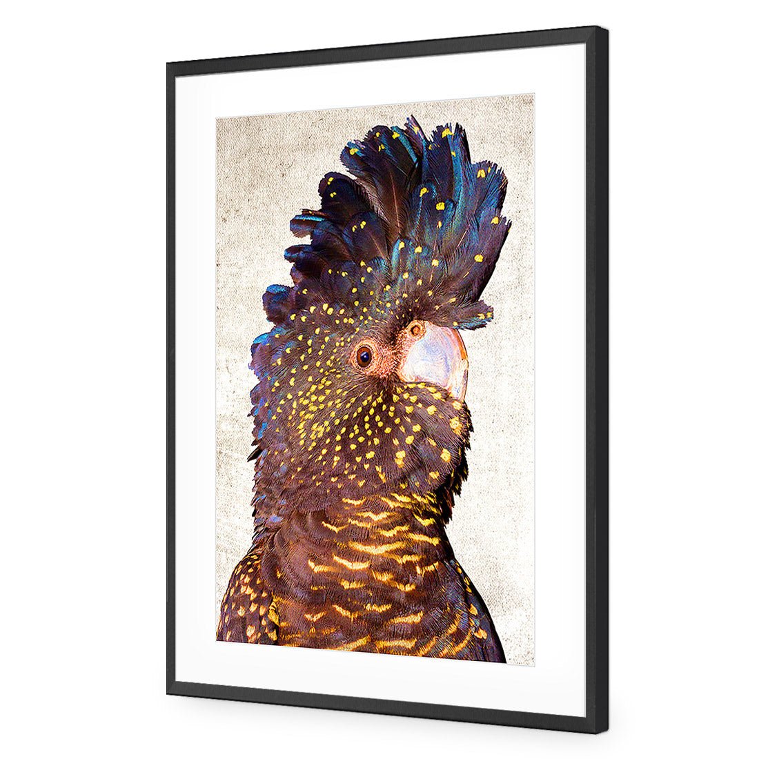 Black Cockatoo Front, Grunge Acrylic Print Art