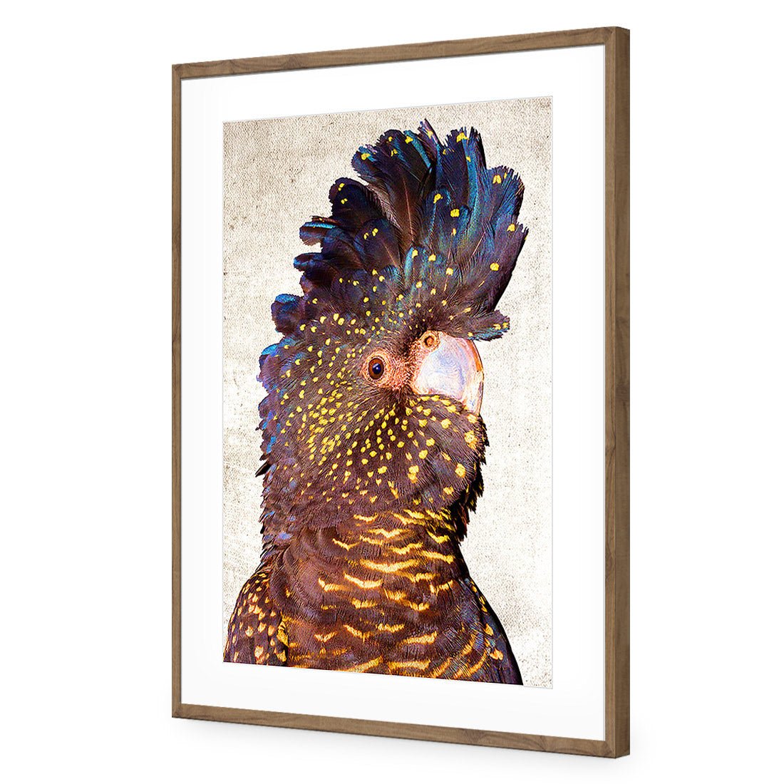 Black Cockatoo Front, Grunge Acrylic Print Art
