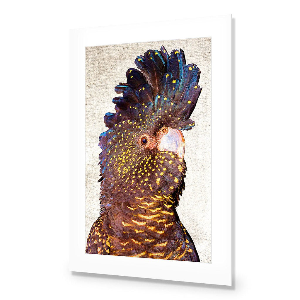 Black Cockatoo Front, Grunge Acrylic Print Art