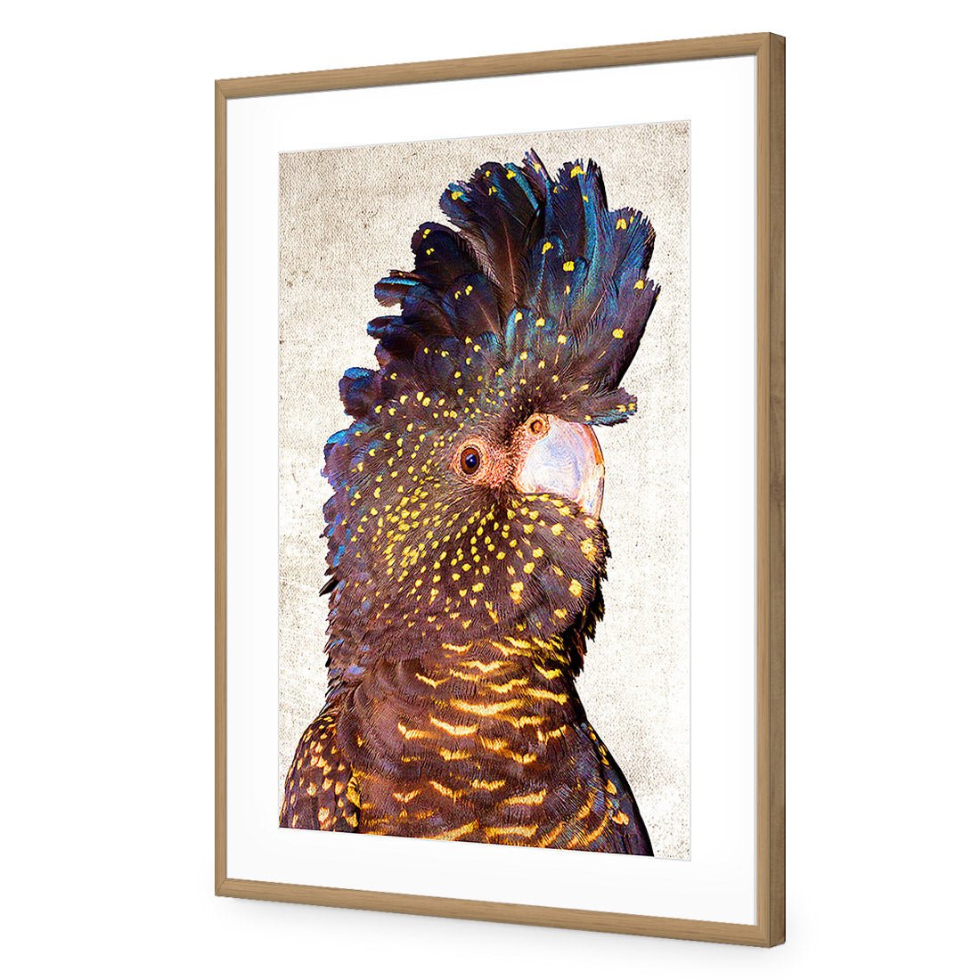 Black Cockatoo Front, Grunge Acrylic Print Art