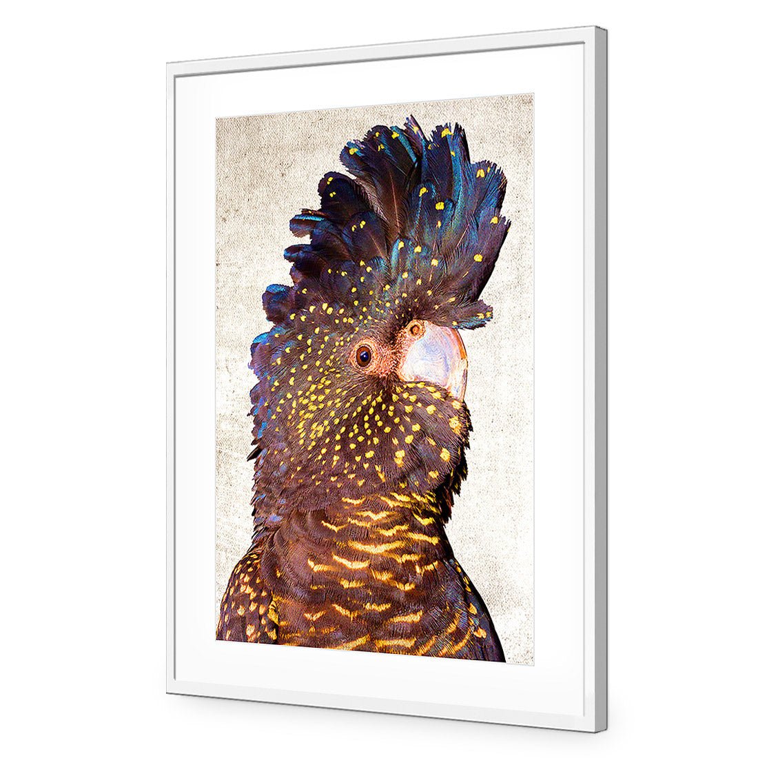 Black Cockatoo Front, Grunge Acrylic Print Art