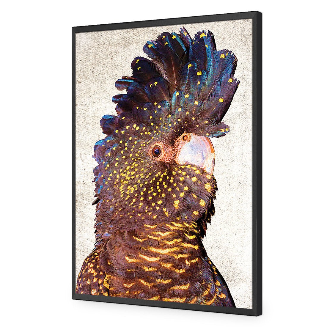 Black Cockatoo Front, Grunge Acrylic Print Art