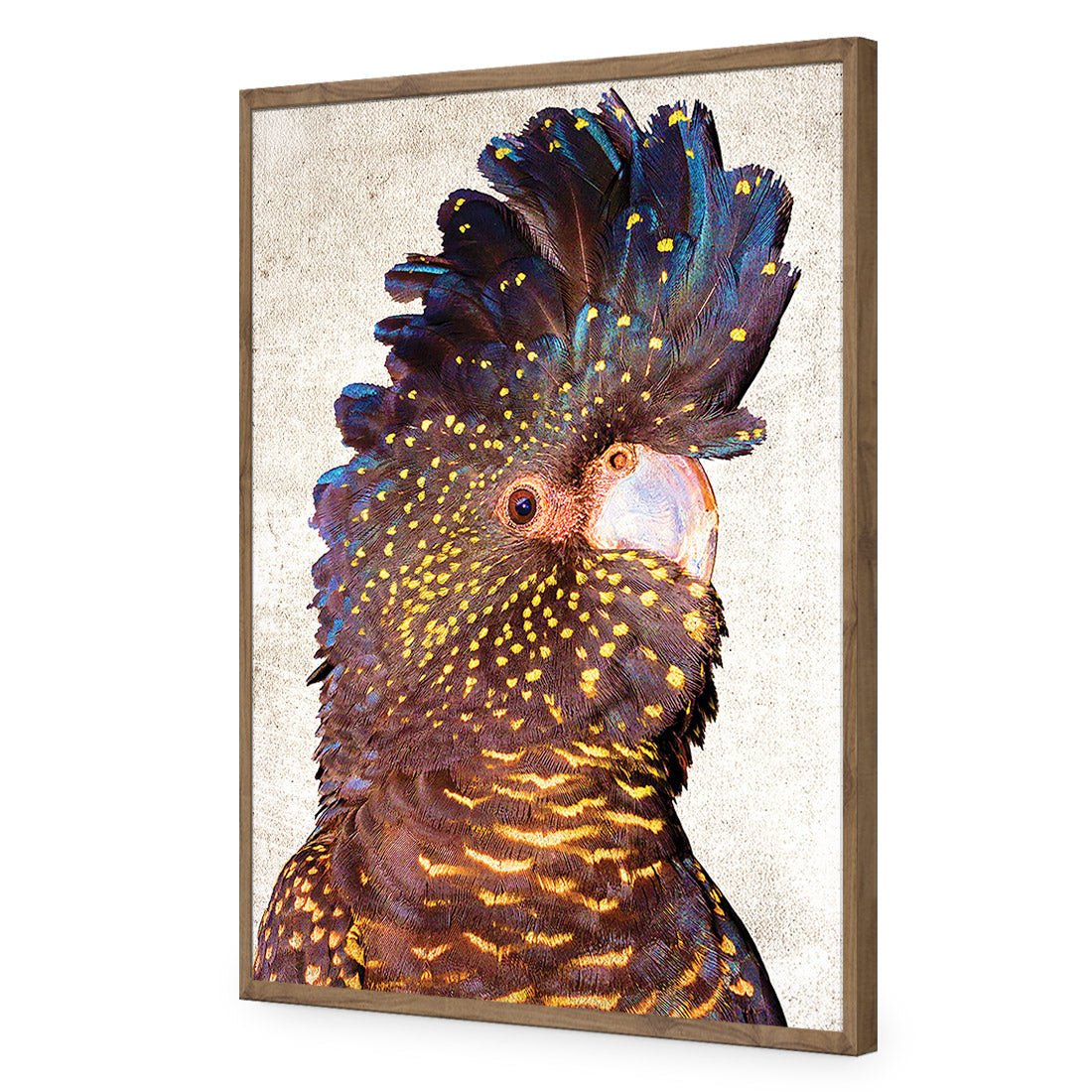 Black Cockatoo Front, Grunge Acrylic Print Art